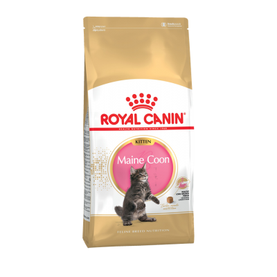 Royal Canin Maine Coon Kitten корм для Котят пород Мейнкун